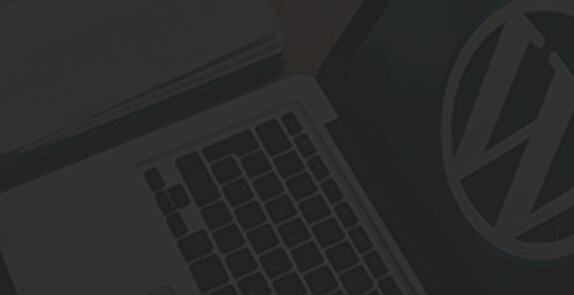 WORPDRESS WEBSITE DEVELOPMENT
